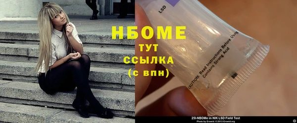 стаф Новозыбков