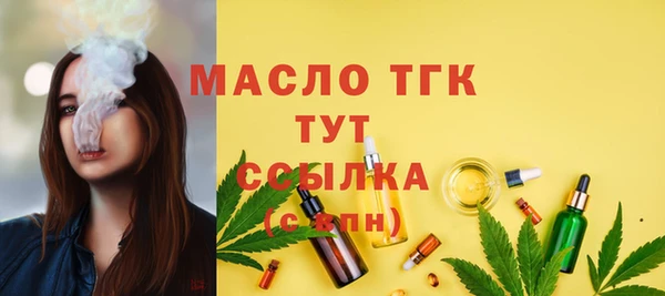 стаф Новозыбков