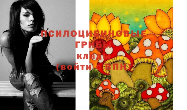 трава Новокубанск