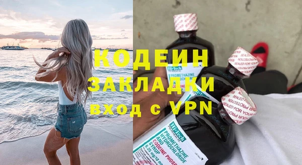 стаф Новозыбков