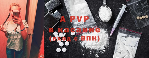 крисы Белая Холуница
