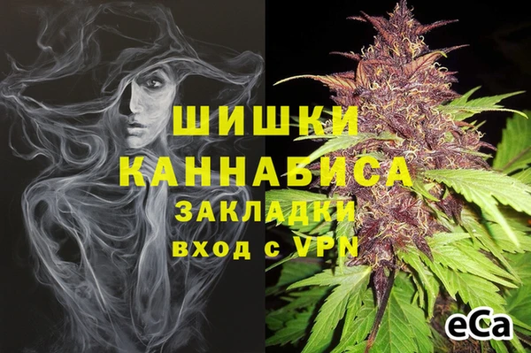 прущие грибы Няндома