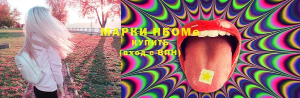 стаф Новозыбков