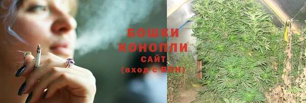 прущие грибы Няндома