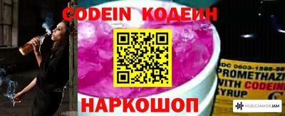 МДПВ Камышлов