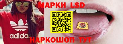 индика Кандалакша
