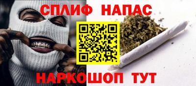 МДПВ Камышлов