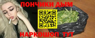 индика Кандалакша
