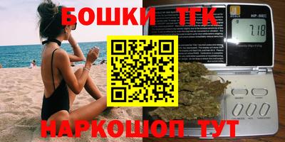 индика Кандалакша