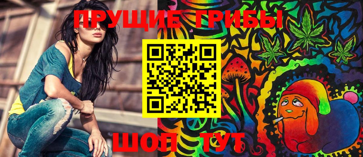 Псилоцибиновые грибы Cubensis Люберцы