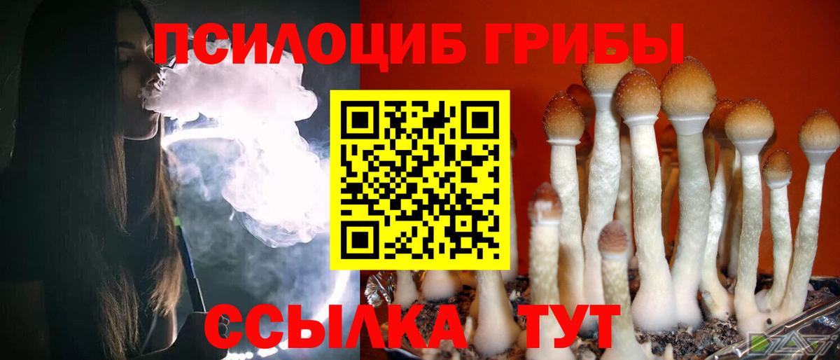 Псилоцибиновые грибы GOLDEN TEACHER Люберцы