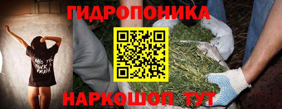 Конопля индика Люберцы